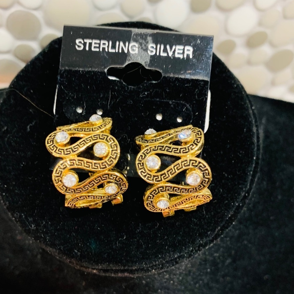 E73- Gold Plated with CZ BN earrings